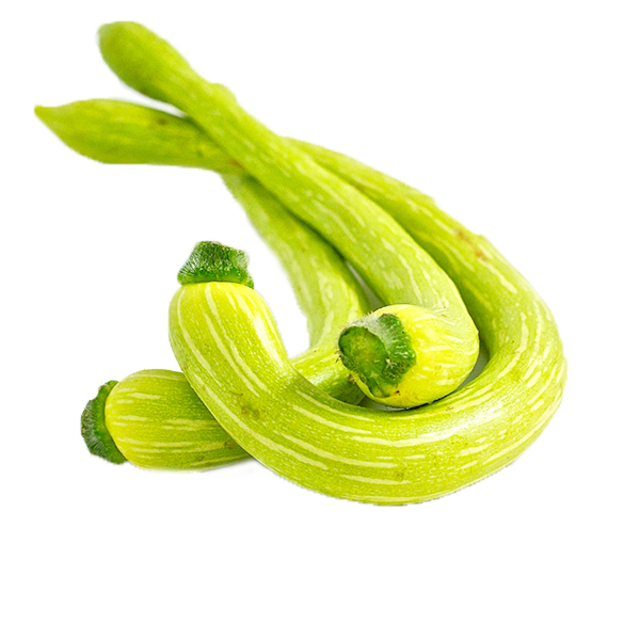 product-50